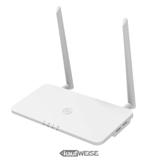 Hoymiles DTU-Pro-S – WLAN-dataloggeri mikroinverttereille | Valvonta ja valvonta