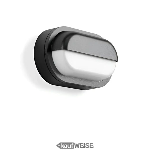 RZB Alu-Lux Oval LED-seinä- ja kattovalaisin | 582065.0031.1
